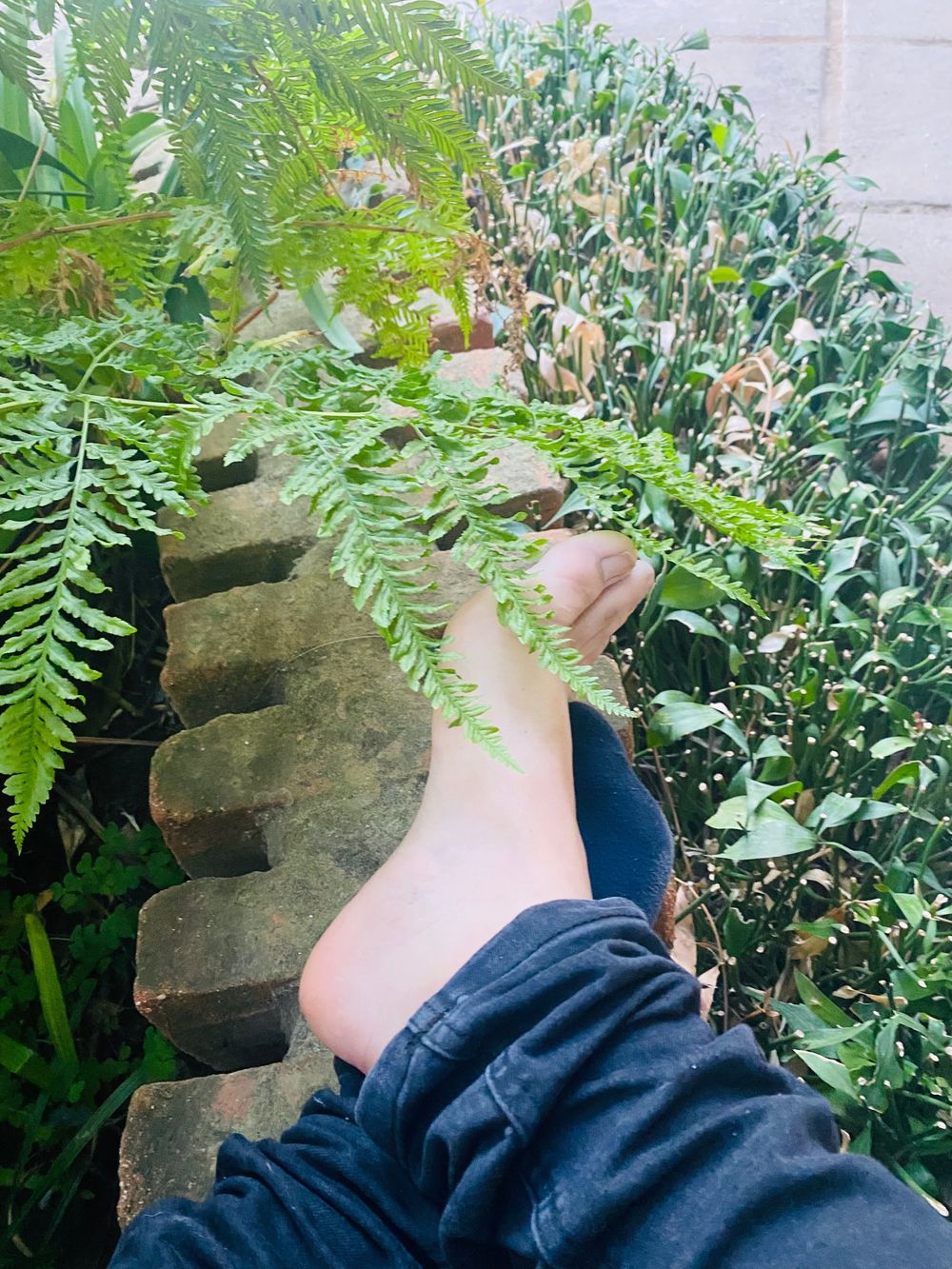 feetlinkkingdom OnlyFans profile picture
