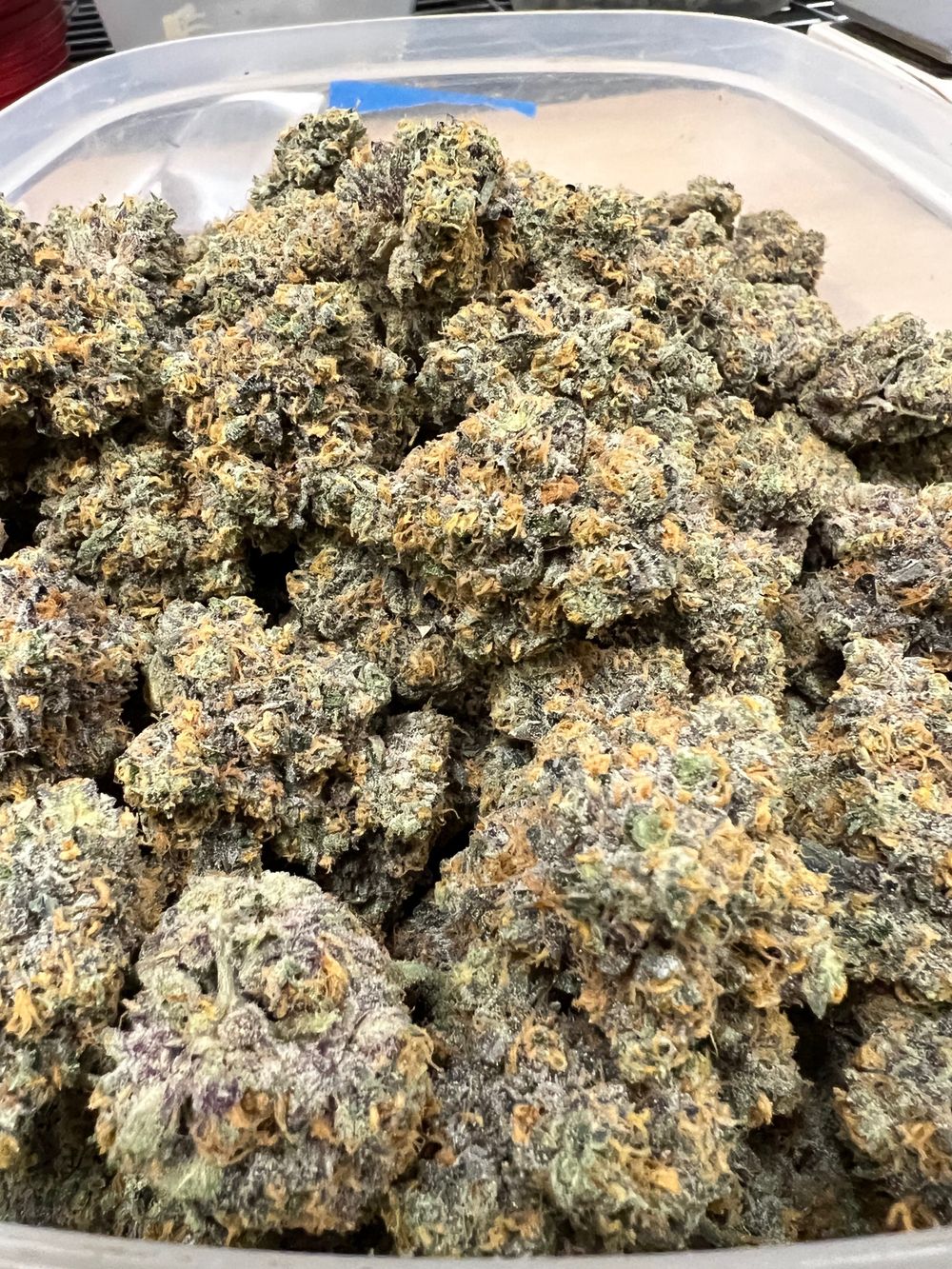 indicad0m OnlyFans profile picture