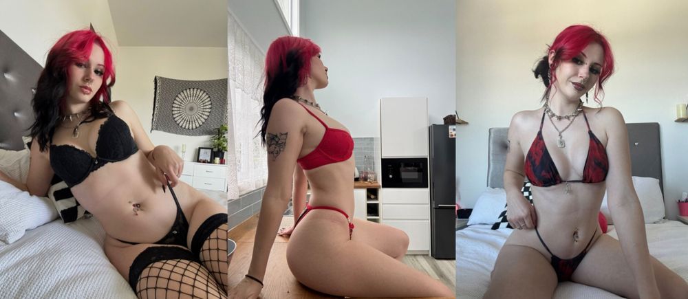 lavenderhayz OnlyFans profile picture