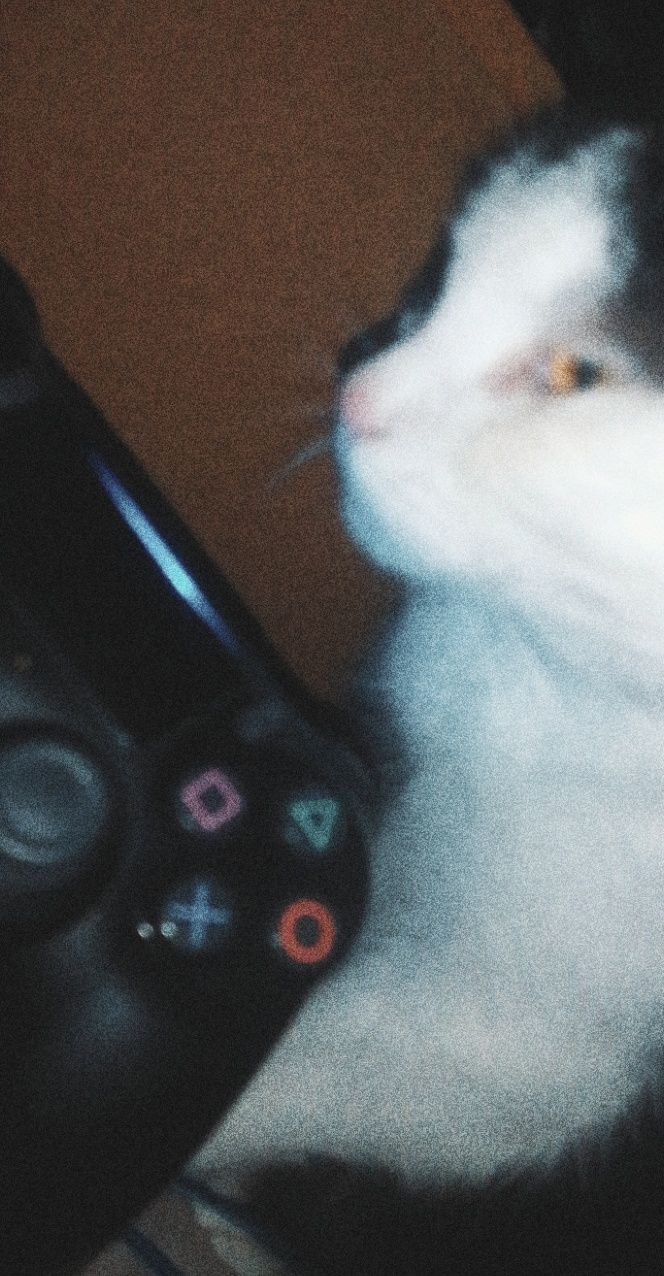 egakt OnlyFans profile picture