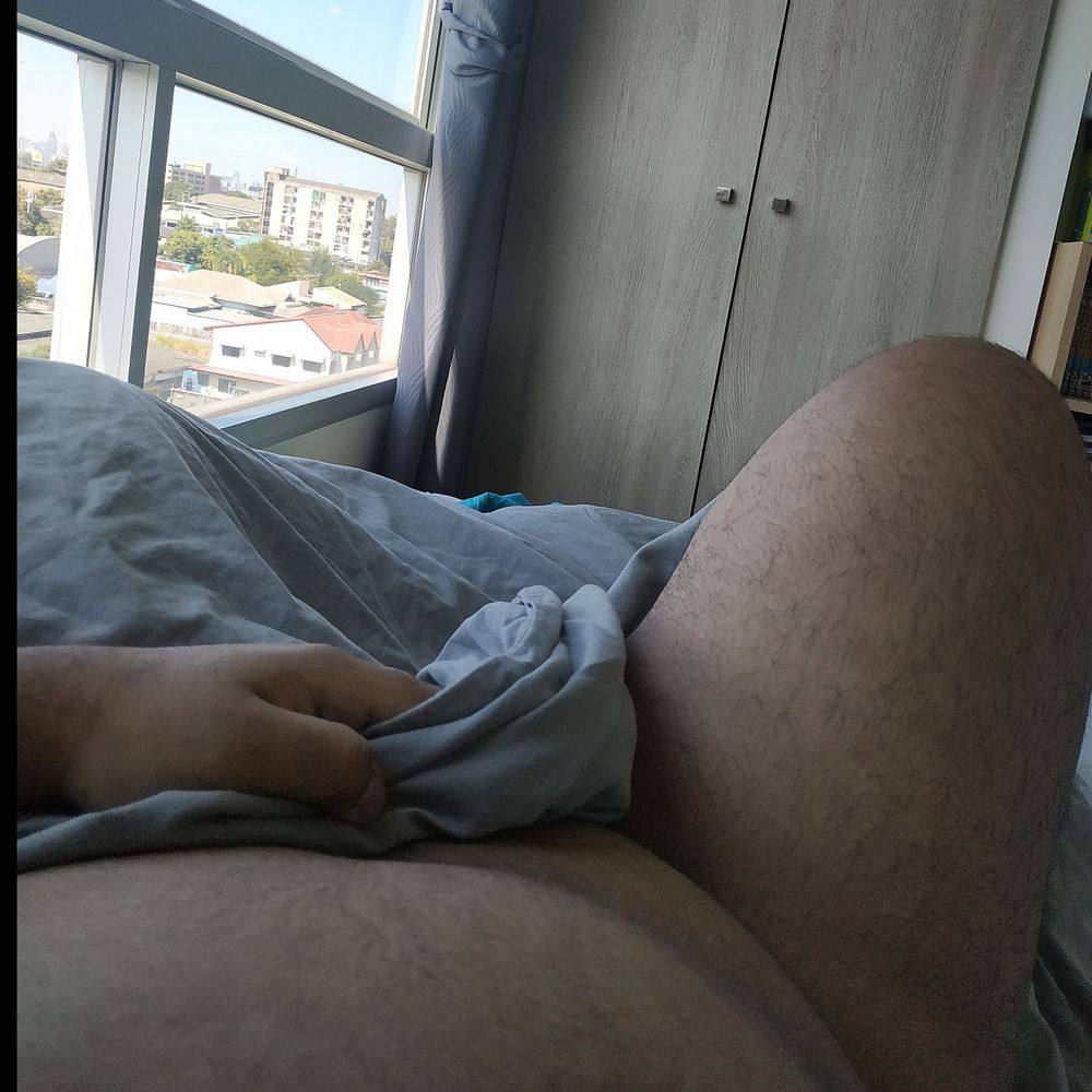 ibearguy OnlyFans profile picture