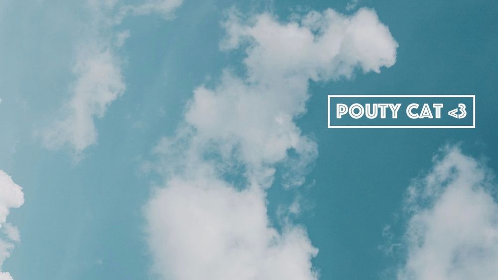 poutycat OnlyFans profile picture