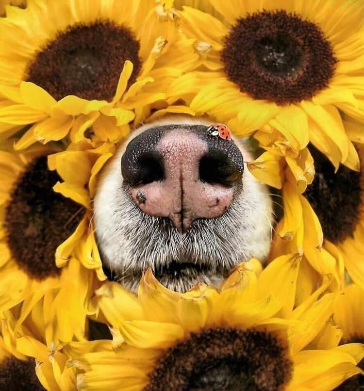 u245464978 OnlyFans profile picture