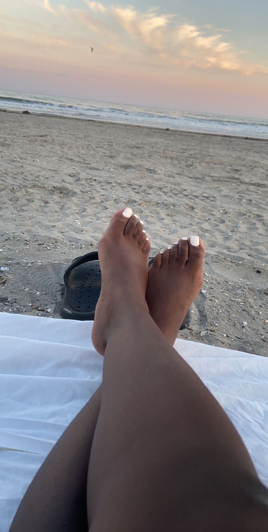 msdiamonddivinefree OnlyFans profile picture