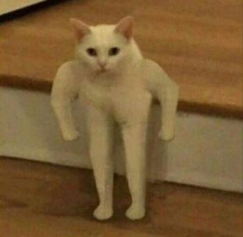 Squisha