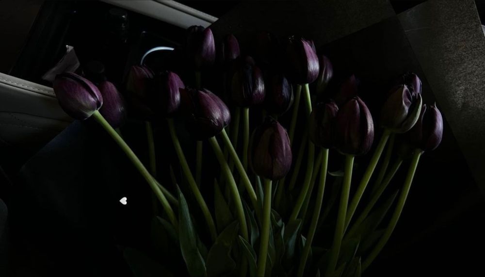 tulipskitten OnlyFans profile picture