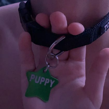 pvppy.luv OnlyFans picture