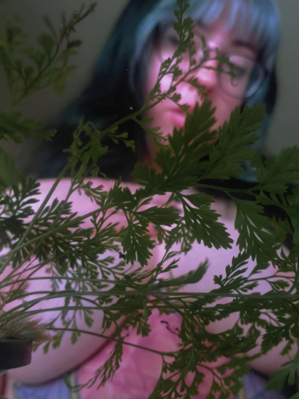 fernsparx OnlyFans profile picture