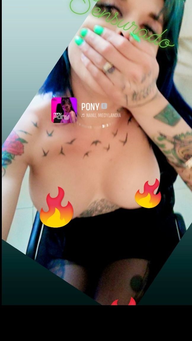 ponigonzalez492 OnlyFans profile picture