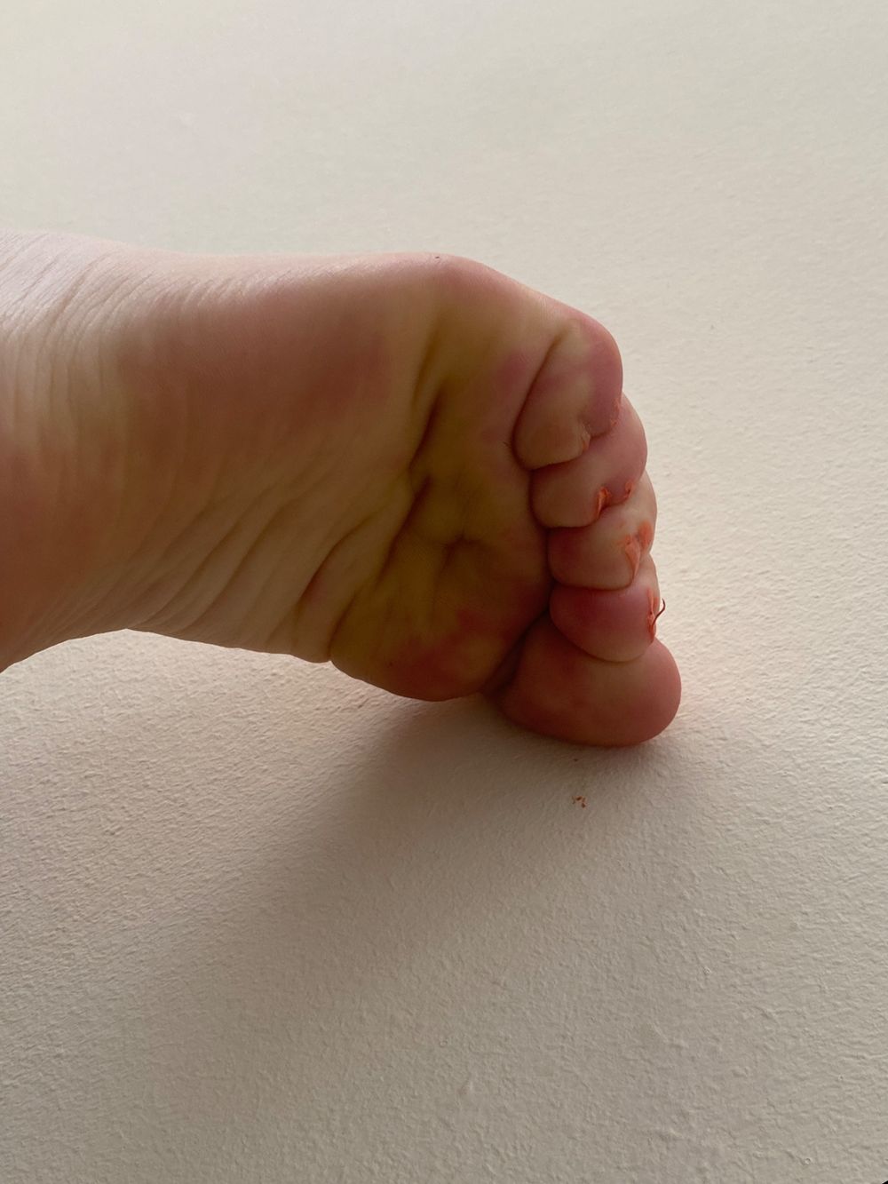 notalottosee OnlyFans profile picture
