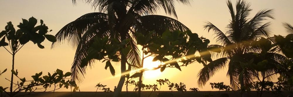 maluka25 OnlyFans profile picture