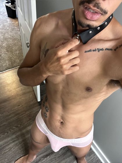 sirvulpes OnlyFans picture