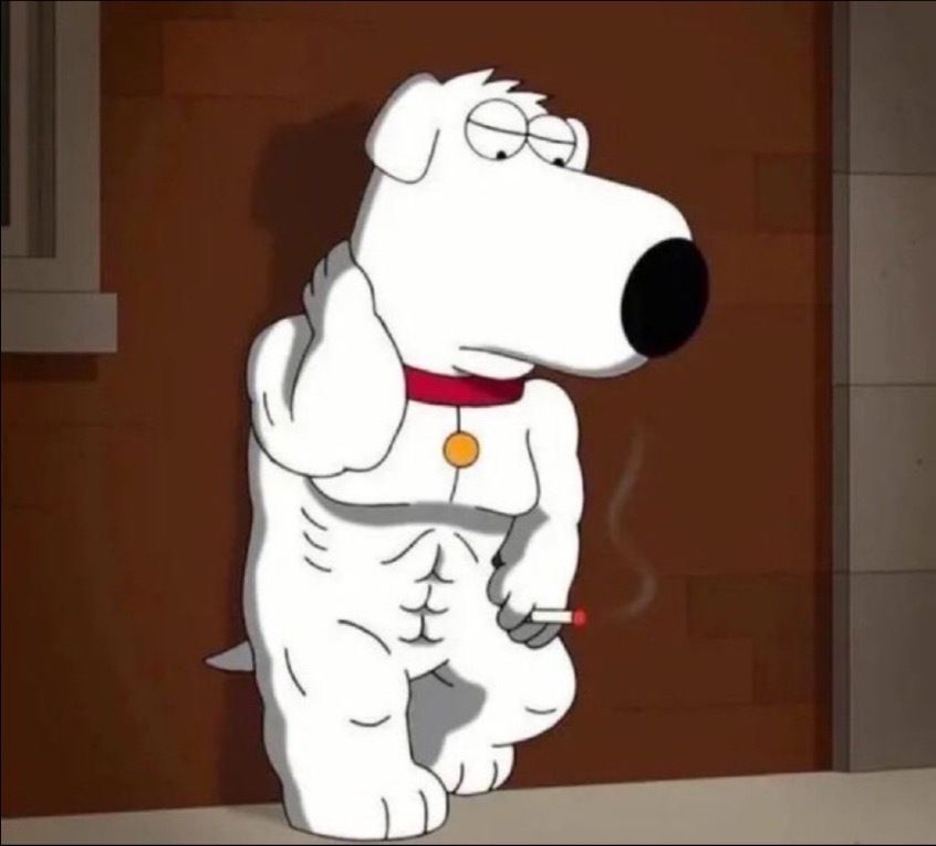 aldohusky OnlyFans profile picture