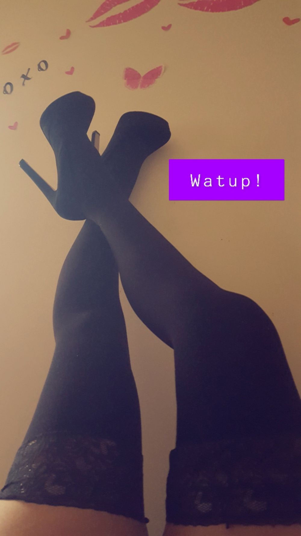 alaskan_bunny95 OnlyFans profile picture