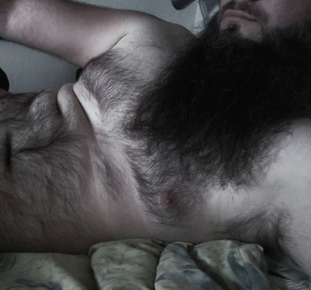 sweetdaddybeard OnlyFans profile picture