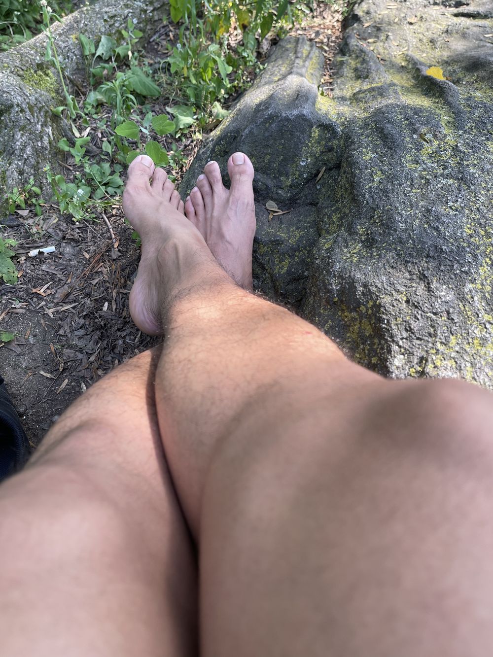 cruisingnyc OnlyFans profile picture