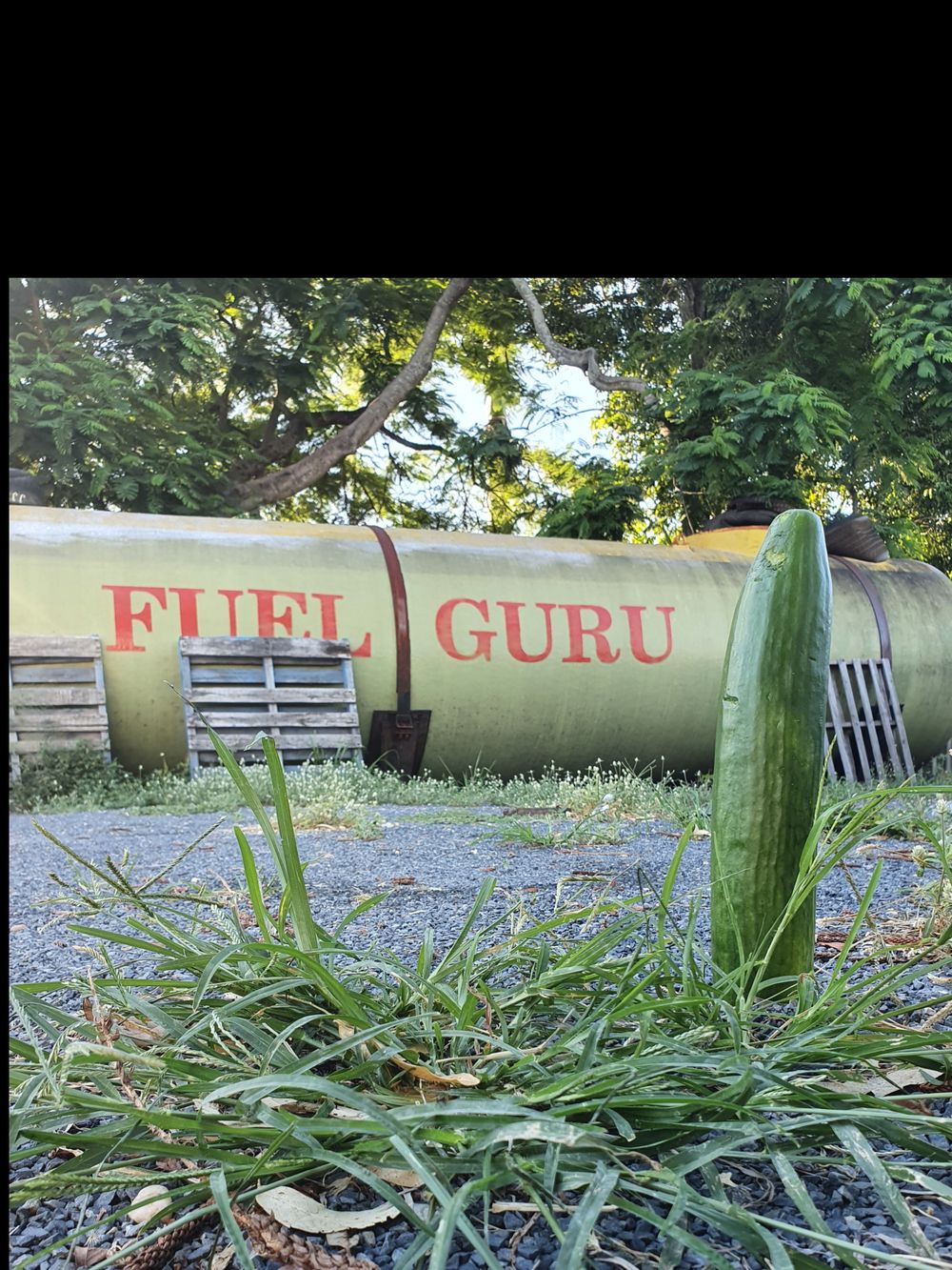 thechunkycuke OnlyFans profile picture