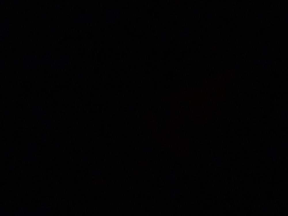 itswayneking OnlyFans profile picture