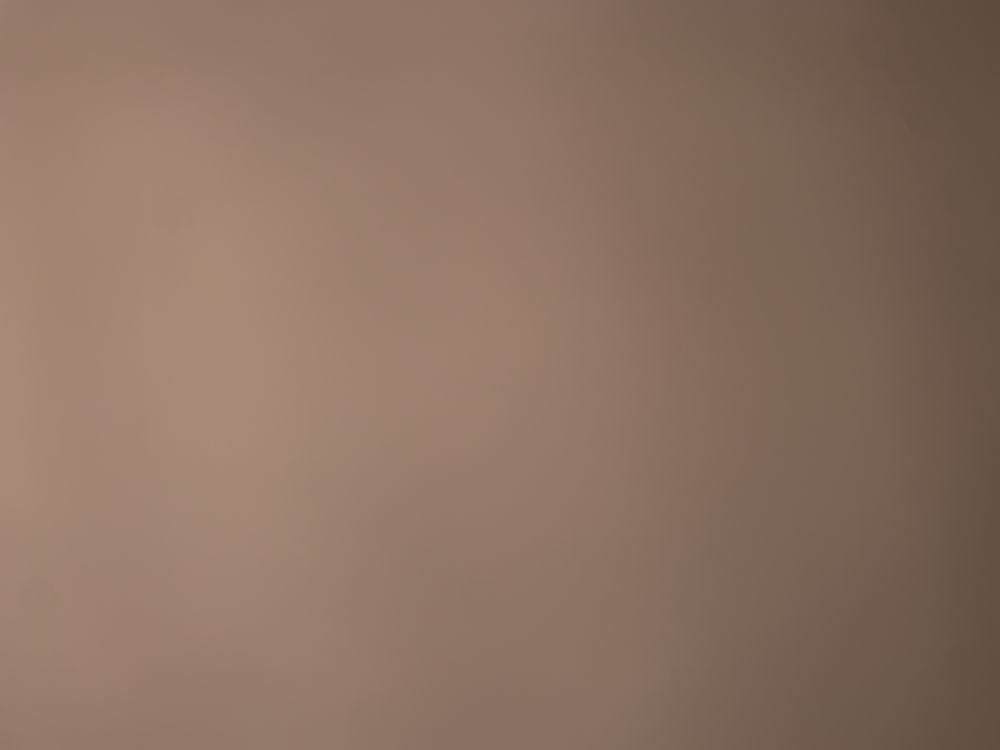 lozaj OnlyFans profile picture
