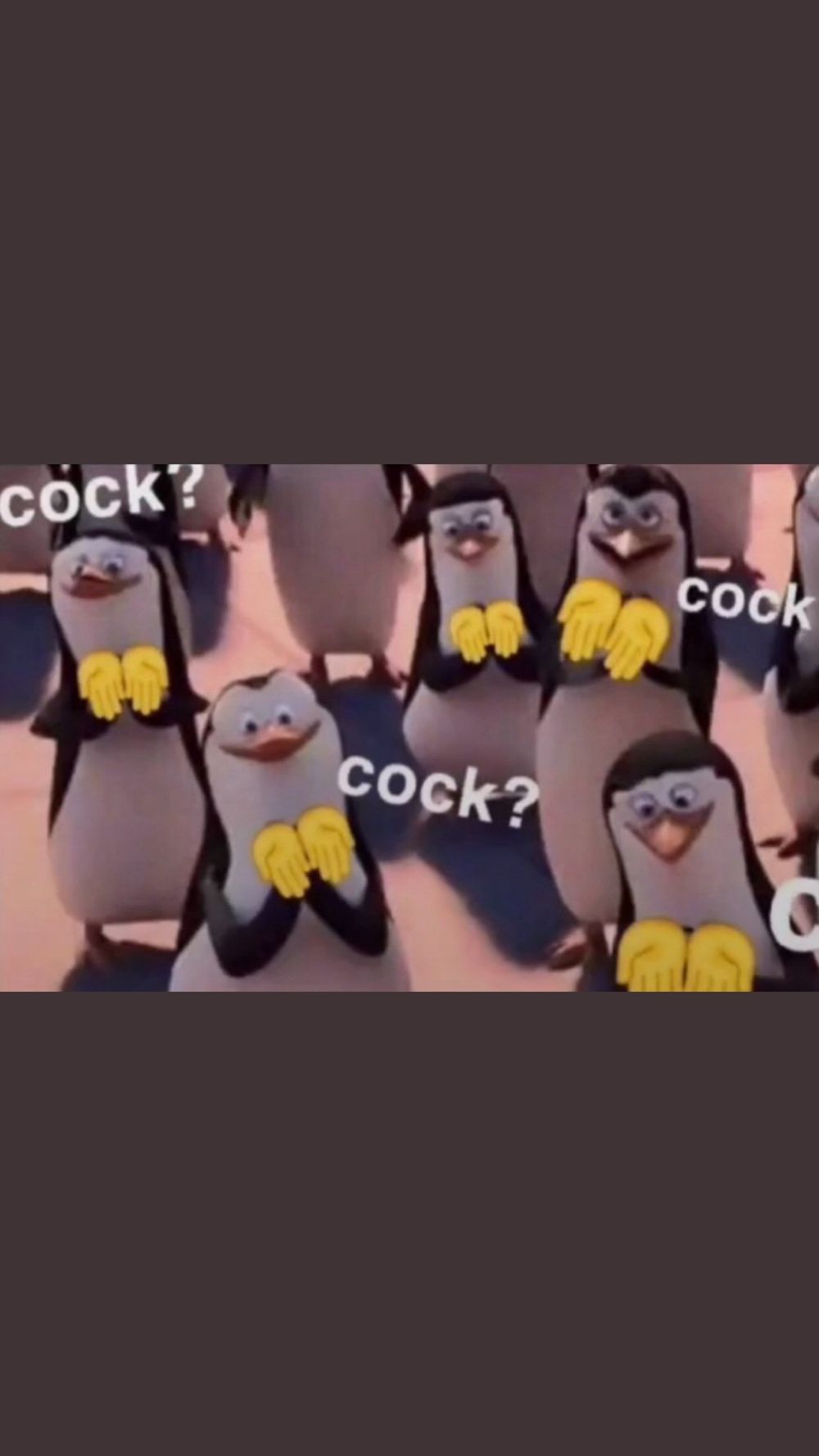 raynquest OnlyFans profile picture