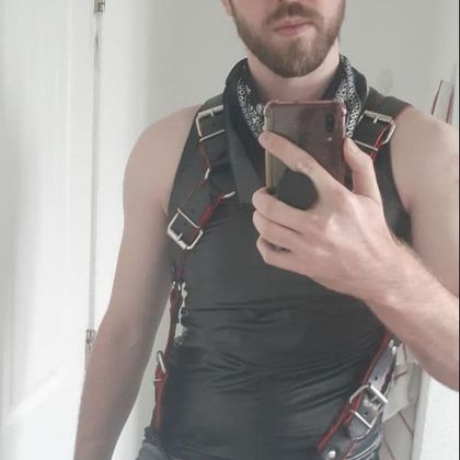 itrainmutts OnlyFans picture