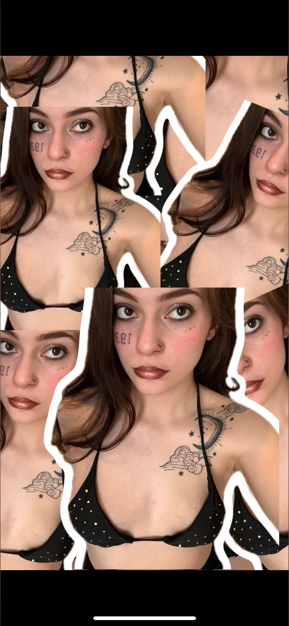 shytaurus OnlyFans profile picture