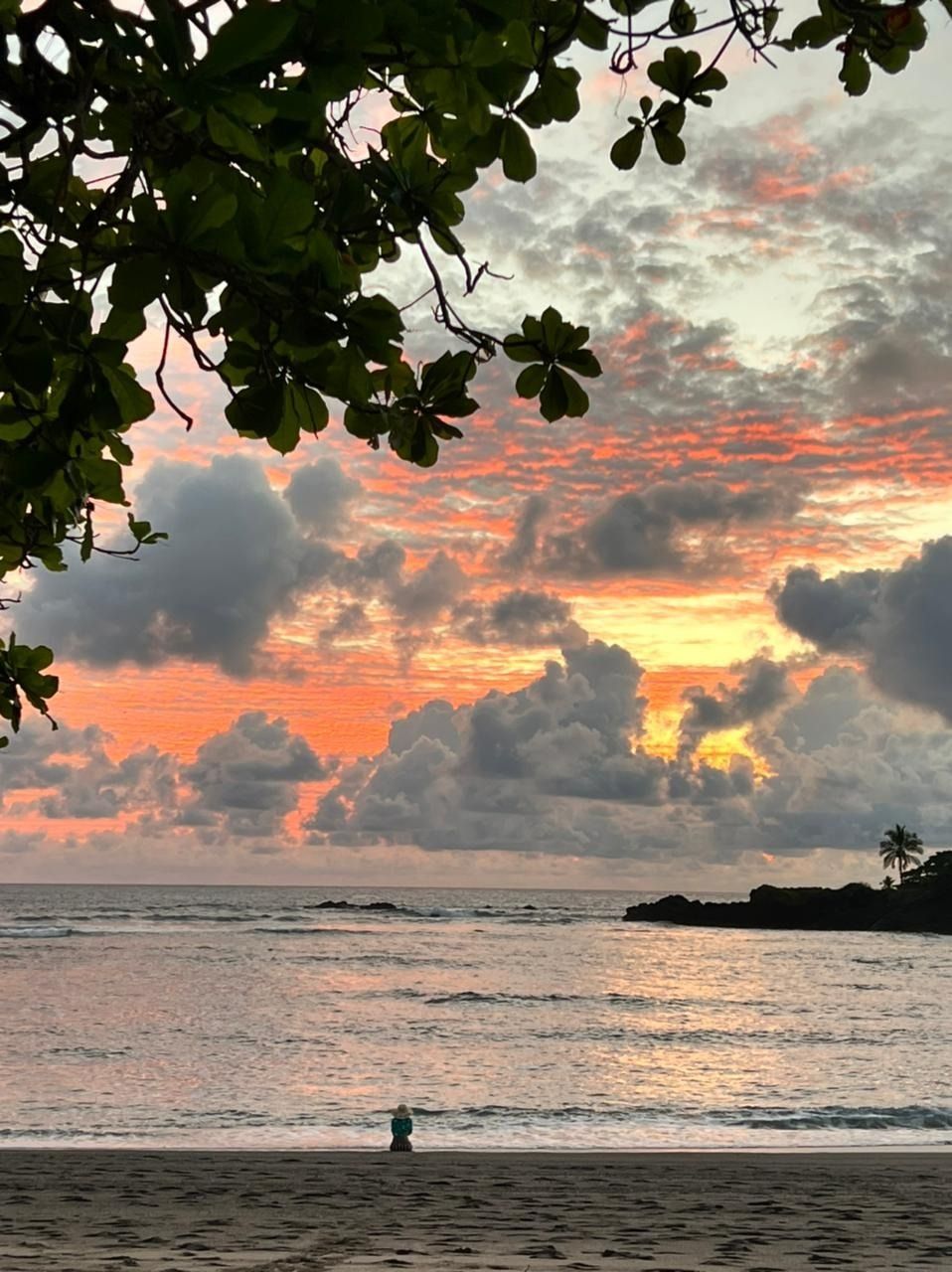 nyaalulu OnlyFans profile picture