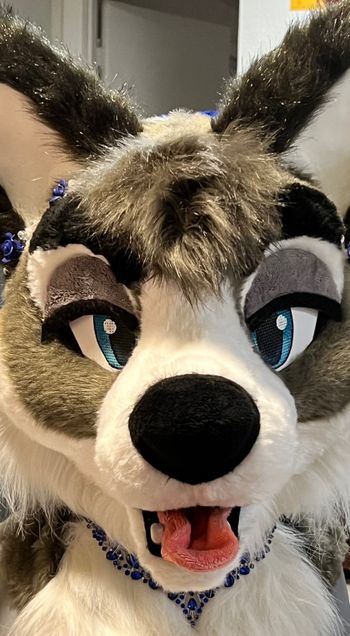 Zoey Wusky