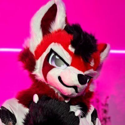 arcohusky OnlyFans picture