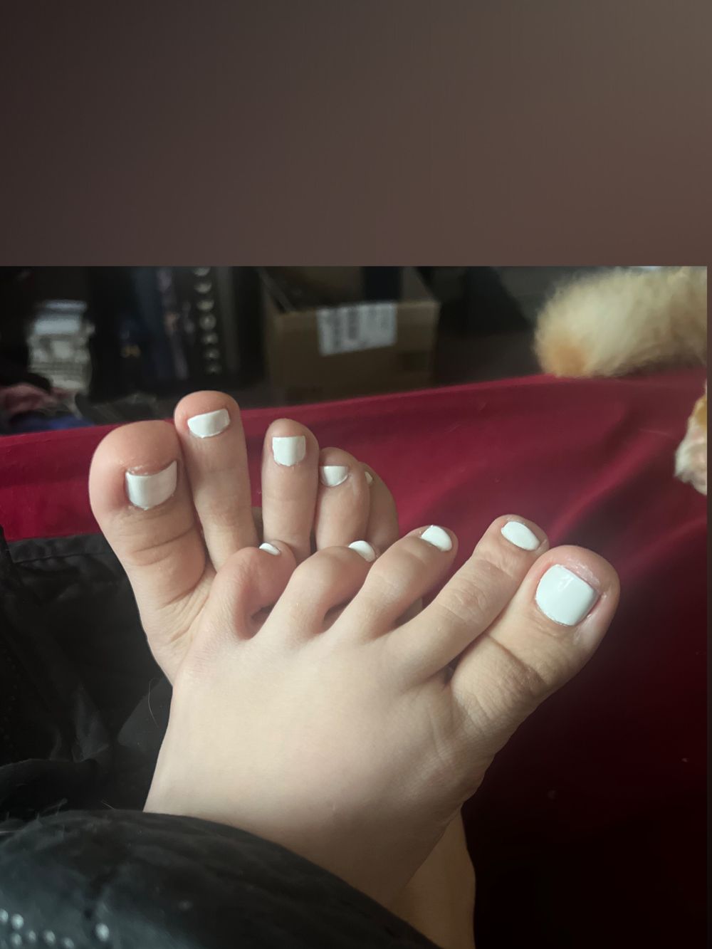 kayleighcturner OnlyFans profile picture