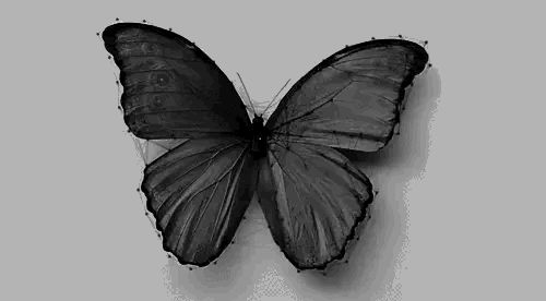 u85126941 OnlyFans profile picture
