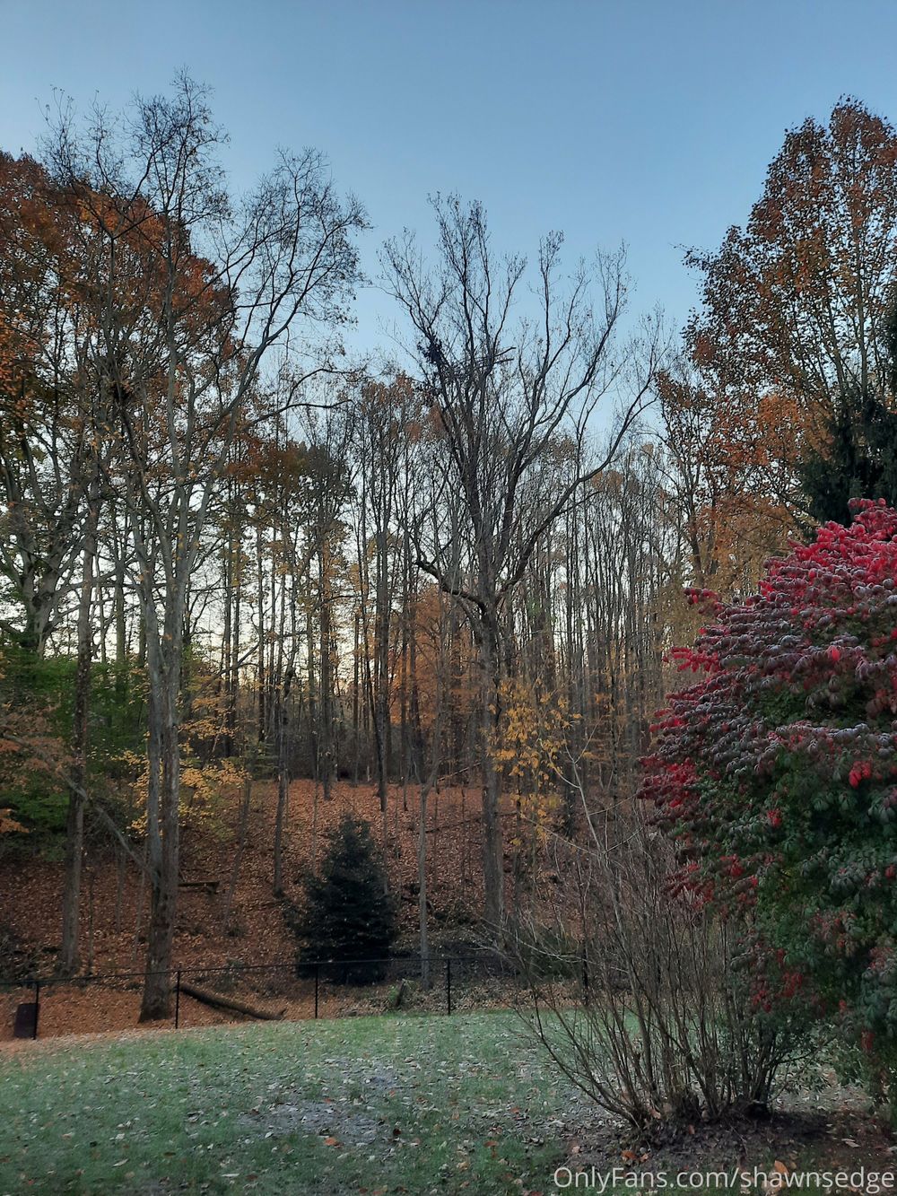 shawnsedged OnlyFans profile picture