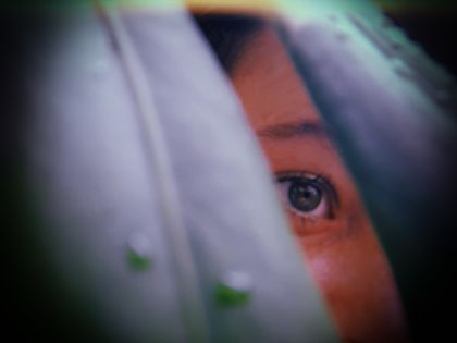 Best Forest_nymph OnlyFans Accounts FansMetrics