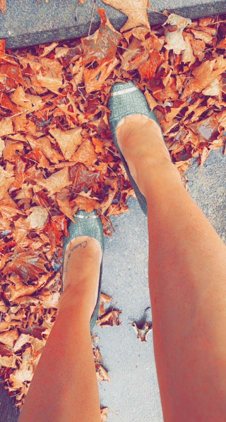 sagesummerr OnlyFans profile picture