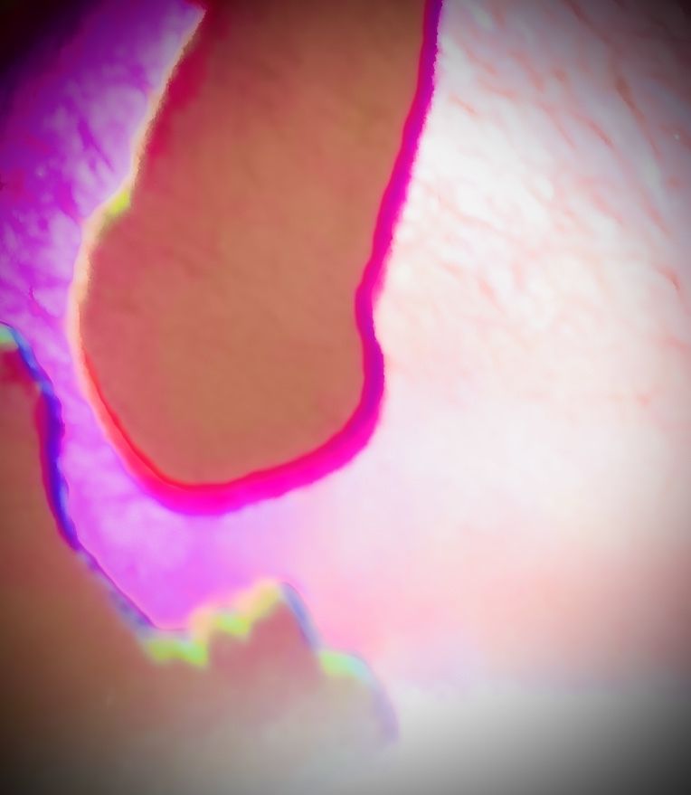 houseofloveandlight OnlyFans profile picture