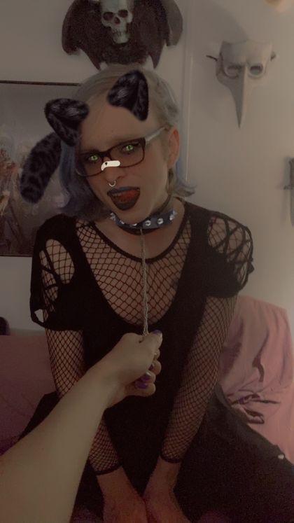 lilkitten42o OnlyFans picture
