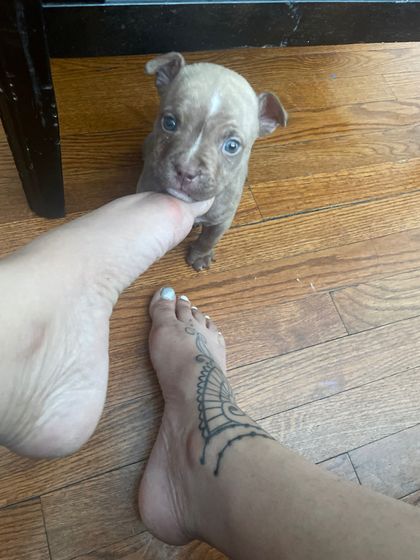 qtpye OnlyFans picture