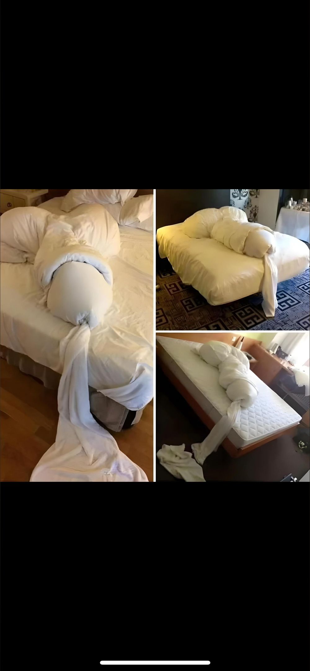 thaoneguybrad OnlyFans profile picture