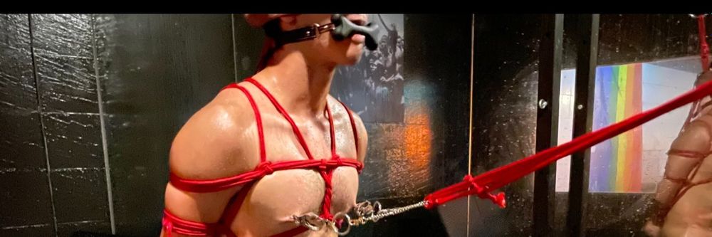 boytoyzex OnlyFans profile picture