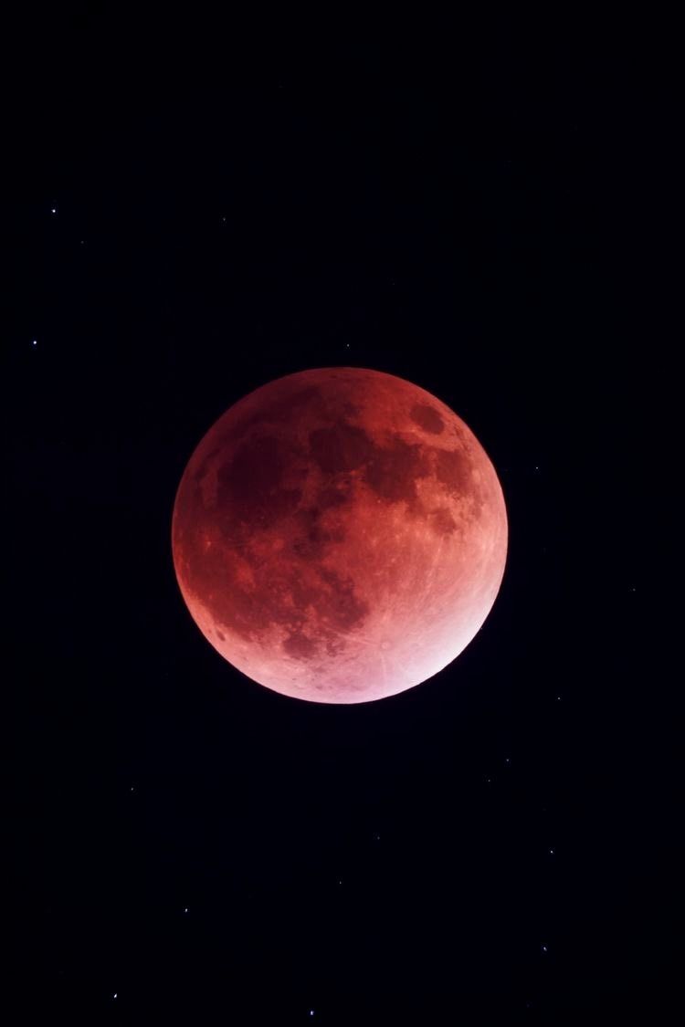 alemoon1999 OnlyFans profile picture