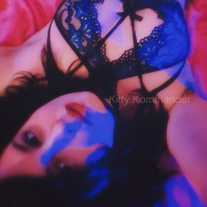 kittykommander OnlyFans picture