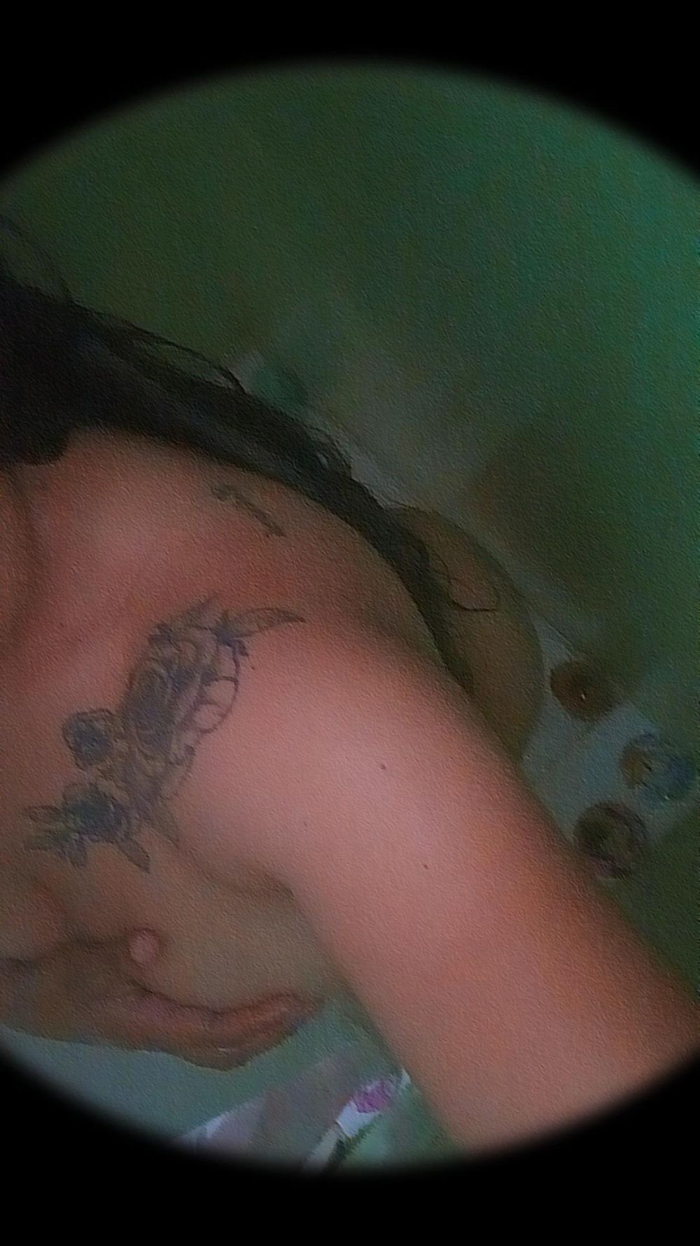 vaniayarella OnlyFans profile picture