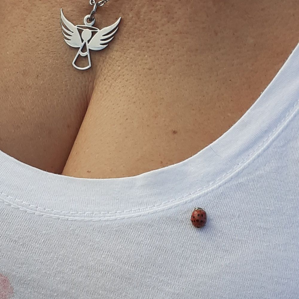 julietbinoch OnlyFans profile picture