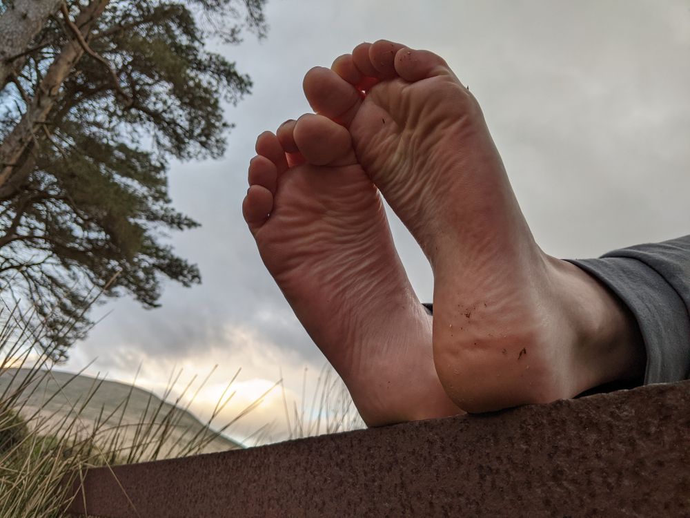foxyfeetgonewild OnlyFans profile picture