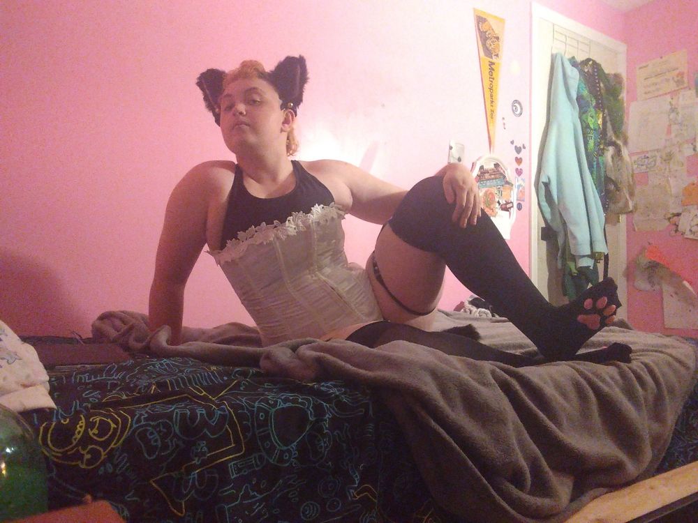 master_boa_420 OnlyFans profile picture