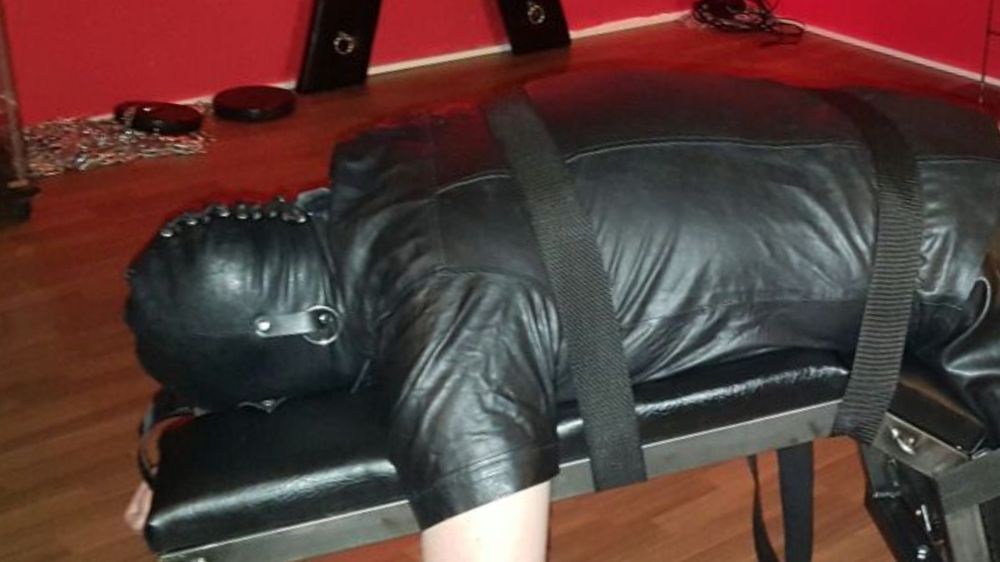 jeansslave OnlyFans profile picture