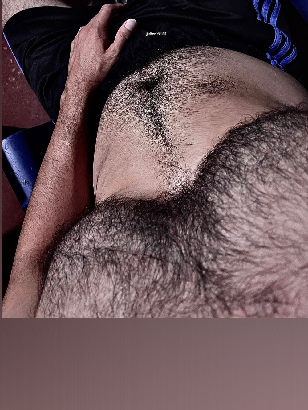 alfwolf4991 OnlyFans profile picture
