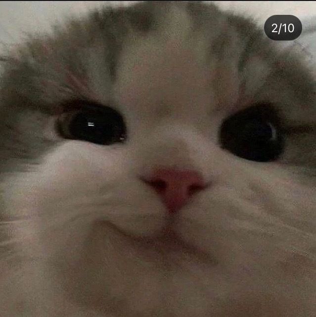 kitty.kate.628 OnlyFans profile picture