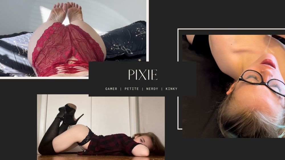 playwithmepixie OnlyFans profile picture