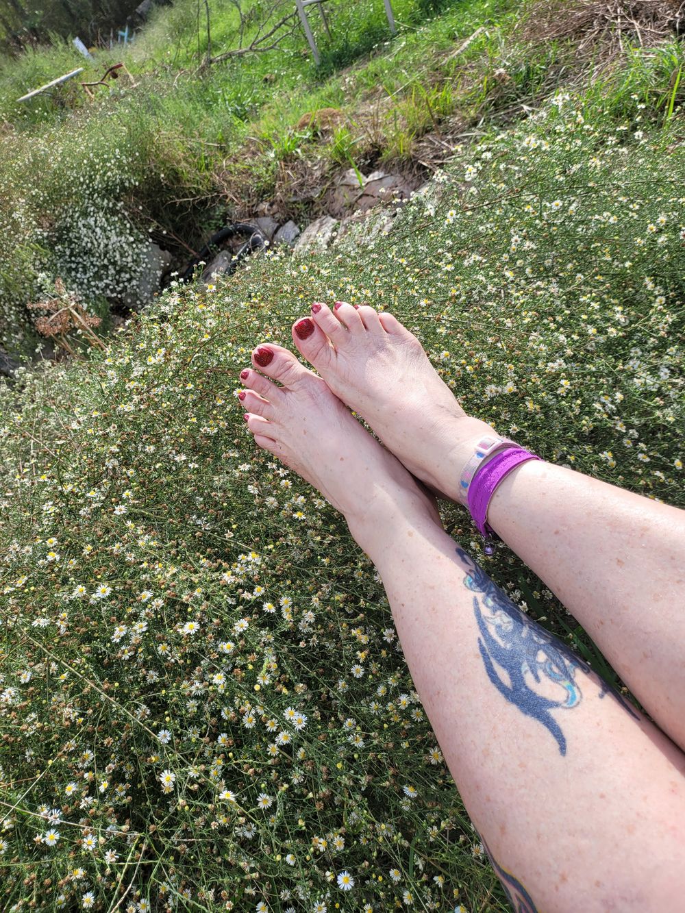 sookiefeetfun OnlyFans profile picture